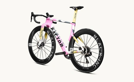 Factor ONE Blush